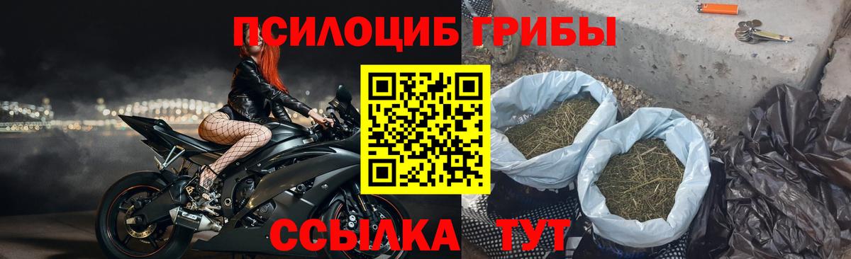 Псилоцибиновые грибы мицелий  Галлюциногенные грибы мицелий  Ессентуки  Вход с VPN 